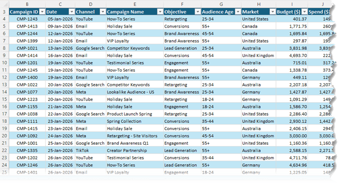 A dataset in Excel that tracks advertising campaign performance