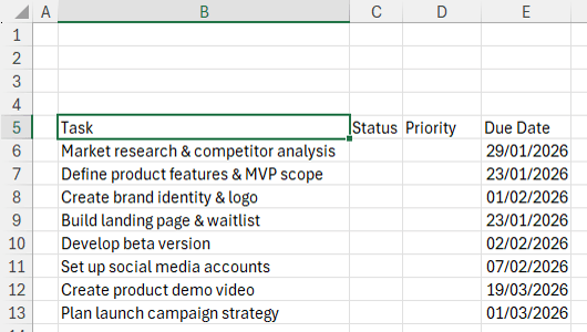 Excel checklist setup