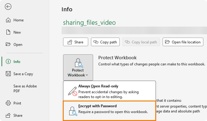 How to encrypt an Excel file with a password