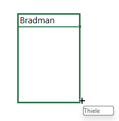 how to insert a custom list in Excel?