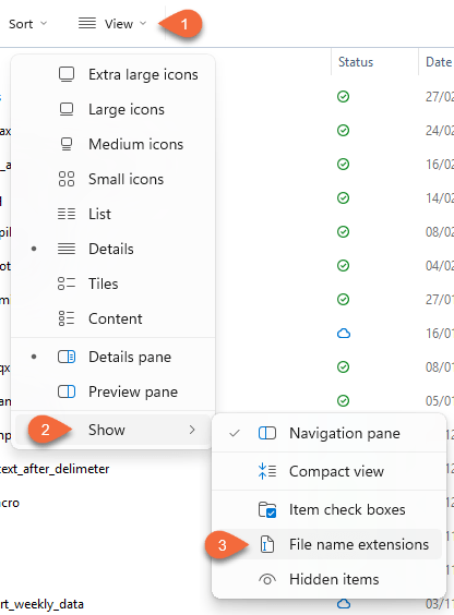 How to show file name extensions in Windows 11 File Explorer