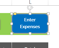 Enter expenses button