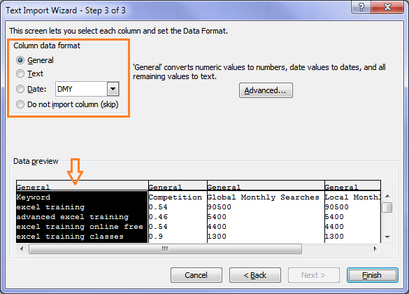 excel text import wizard step 3