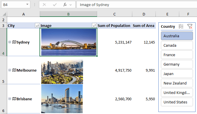 Pivot table with images from data types