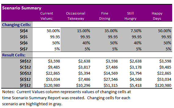 Excel Scenario Summary Report