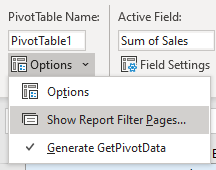 Show Report Filters Ribbon Item