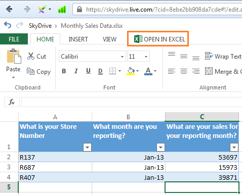 Excel Surveys